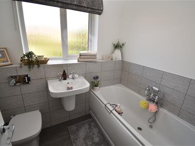 Picture 21